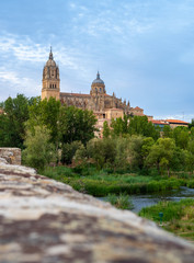 Toledo's Church view from the bridge and park in Spain
