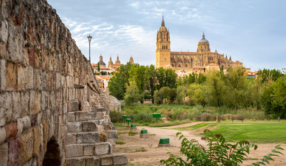 Fototapeta na wymiar Toledo's Church view from the bridge and park in Spain