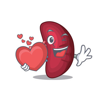 A sweet human spleen cartoon character style with a heart