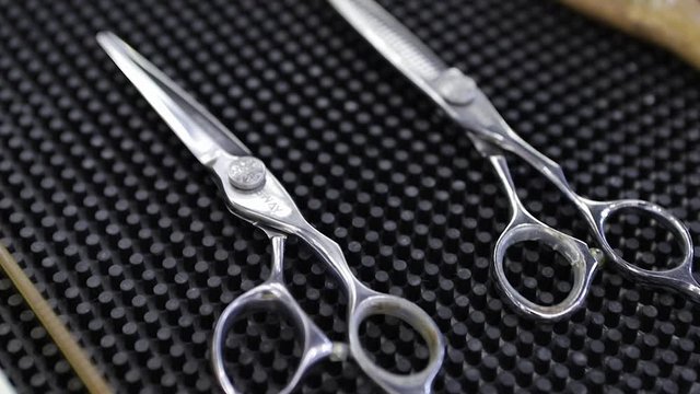 Barber tools. Barber scissors in the hand