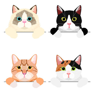 various cute cat banner set
