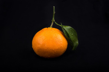 tangerines on black background