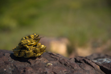 Money toad by Feng Shui