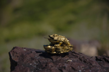 money toad by Feng Shui on a stone