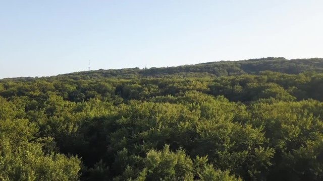 Aerial view of a grison with clouds and a beautiful, large, high old greenery summer forest in which there are many densely growing and high trees, a panoramic seed. From a bird's eye view. Green back