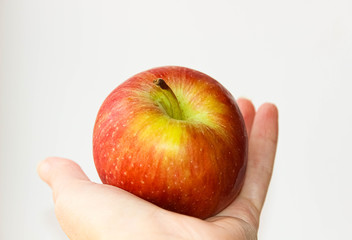 Red-green Apple in hand. Harvest from your garden.