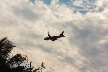 Silhouette plane flying in cloud of the clouds in background over tree