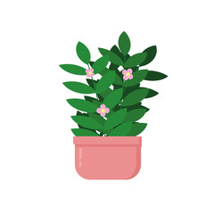 potted flower in a flat style indoor plant