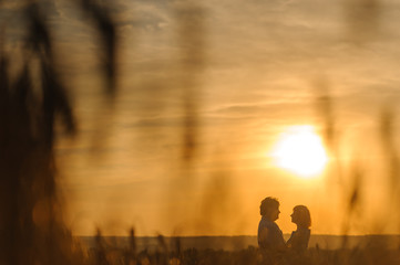 Fototapeta premium An adult farmer and his wife are hugging in their wheat field.