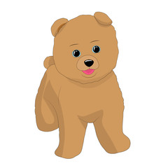 Funny puppy pomeranian spitz stands and smiles. The illustration is isolated on a white background. Cute pets made in cartoon style.