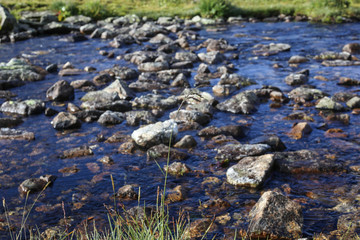 Mountain river with stones