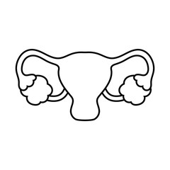 female reproductive system line style icon vector design