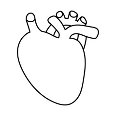 Heart organ line style icon vector design