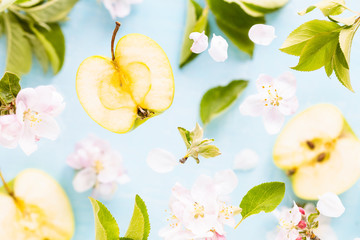 Obraz premium Apples, flowers and leaves of an apple tree in flight. Fresh spring texture leaves of different sizes on a blue background. The concept of spring flowering or packaging of juice.