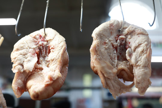 Tails of fat-tailed sheeps