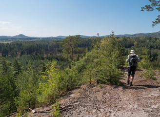 Fototapeta premium Back of man hiker walking in landscape in Lusatian Mountains view from sandstone rocks, green hills, fresh deciduous and spruce tree forest. Blue sky background, horizontal, copy space