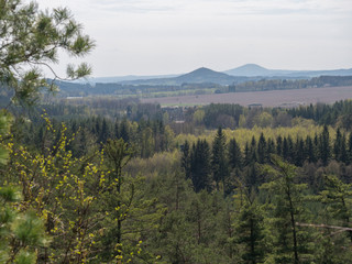 Spring landscape in Lusatian Mountains view from sandstone rocks, green hills, fresh deciduous and spruce tree forest. Blue sky background, horizontal, copy space