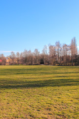 Tremoniapark in Dortmund, North Rhine-Westphalia, Germany. City park photographed on a sunny day in the autumn season. No people, tree without leaves. Tremonia Park. Vertical photo.