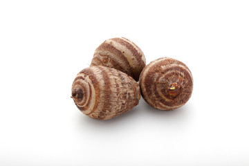 里芋,白い背景で隔離