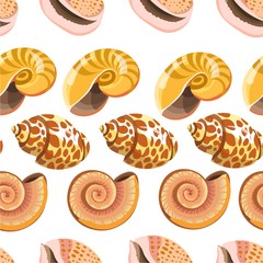 Seashell and conch, sealife shells and mollusks seamless pattern