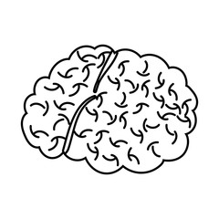 brain organ line style icon vector design