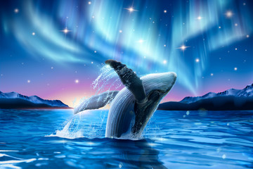 Whale breaching with dreamy aurora