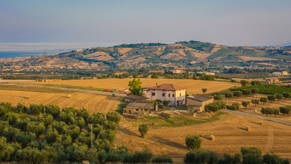 Fototapeta na wymiar rural landscape in the Marche region in Italy near Fermo. Summer landscape