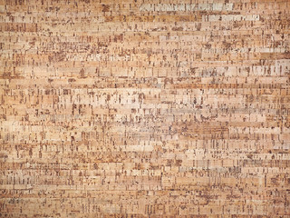 Texture bark of a сork. natural wood background