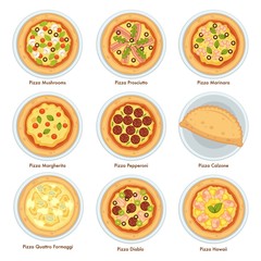 Types of pizza, traditional Italian cuisine and bakered food