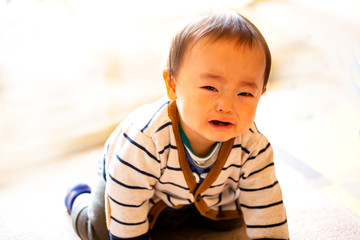 ハイハイしながら泣いて追いかけてくる赤ちゃん　カメラ目線