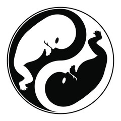 jin jang symbol with black and white embryo inside - obrazy, fototapety, plakaty