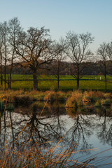 Sunset on the lake near the village of Stadel in Switzerland in spring