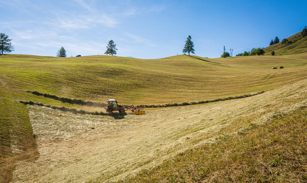 Haymaking with tractor. Cutting grass for haymaking in South Tyrol, Trentino Alto Adige, northern Italy