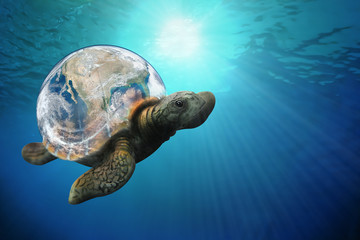 Obraz premium The sea turtle swims in the Pacific ocean environment. World Ocean's day, World Turtle Day, May 23. Suitable for banner, poster, greeting card, shirt, template and print advertising for copy space.