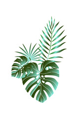 Tropical leaves composition. Jungle foliage design for postcard, label, web design or post in social networks. Paradise nature element. Botanical vector illustration isolated on white background.