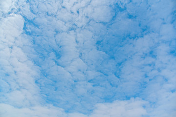 white clouds dense on blue sky for texture background