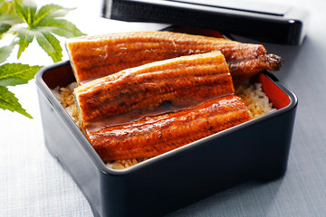 うな重　Japanese grilled eel served over rice a lacquered box