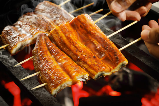 うなぎの蒲焼き　Grilled eel with soy based sauce