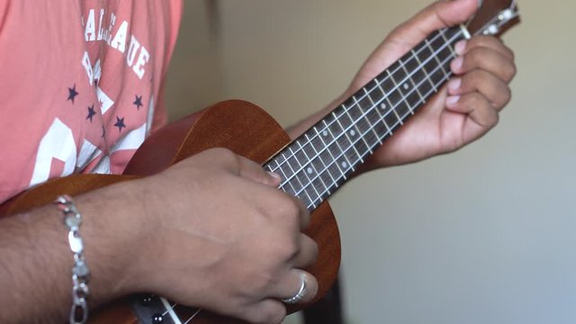 The ʻukulele or ukelele is a member of the lute family of instruments. It generally employs four nylon strings. This is a video of a guy playing Ukelele during the quarantine.