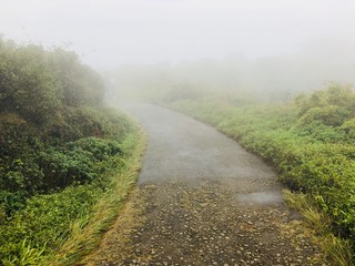 Fototapeta na wymiar Road covered fully with mist