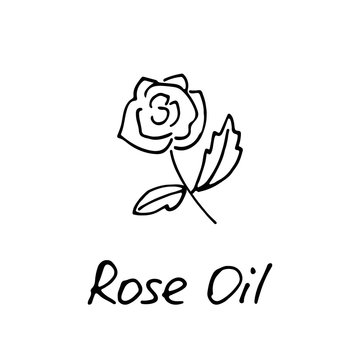 Rose oil logo for cosmetic and parfume design. Hand drawn rose label for web and print. Vector illustration