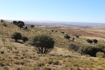 Fototapeta premium Paisaje