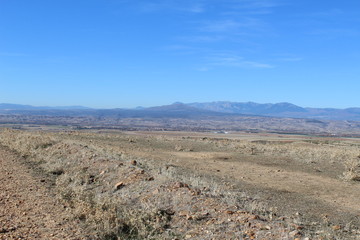 Campo