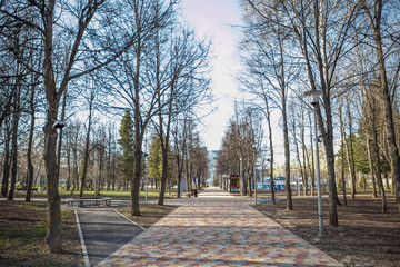 Park, paving paths