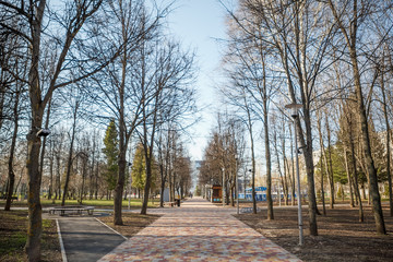 Park, paving paths