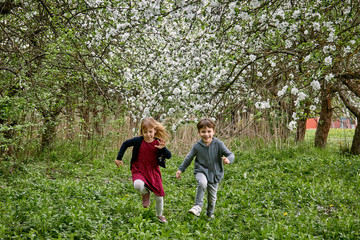 Naklejka na ściany i meble Children run on the grass against the background of a blooming garden and green grass. A happy family.