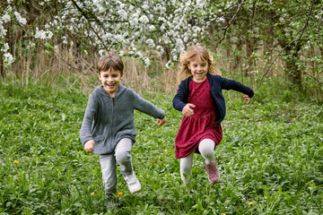 Fototapeta premium Children run on the grass against the background of a blooming garden and green grass. A happy family.