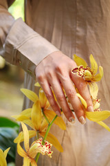 a lady hold a yellow boat orchid