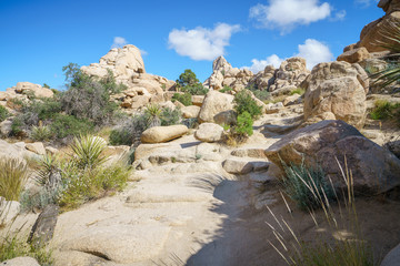 hiking the hidden valley trail in joshua tree national park, california, usa