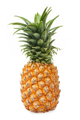 Closeup single whole pineapple fruit isolated at white background.